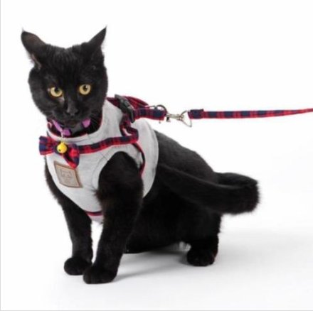 Adjustable Cat Harness