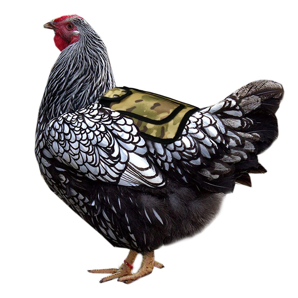 Adjustable Chicken Saddle, Feather Protection Apron