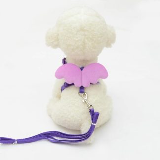 Adjustable Walking Harness with Leash for Chickens and Ducks