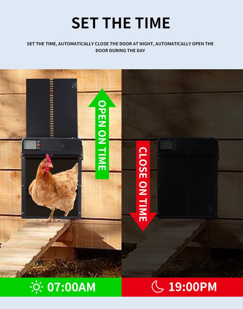 Automatic Chicken Coop Door with Timer Display
