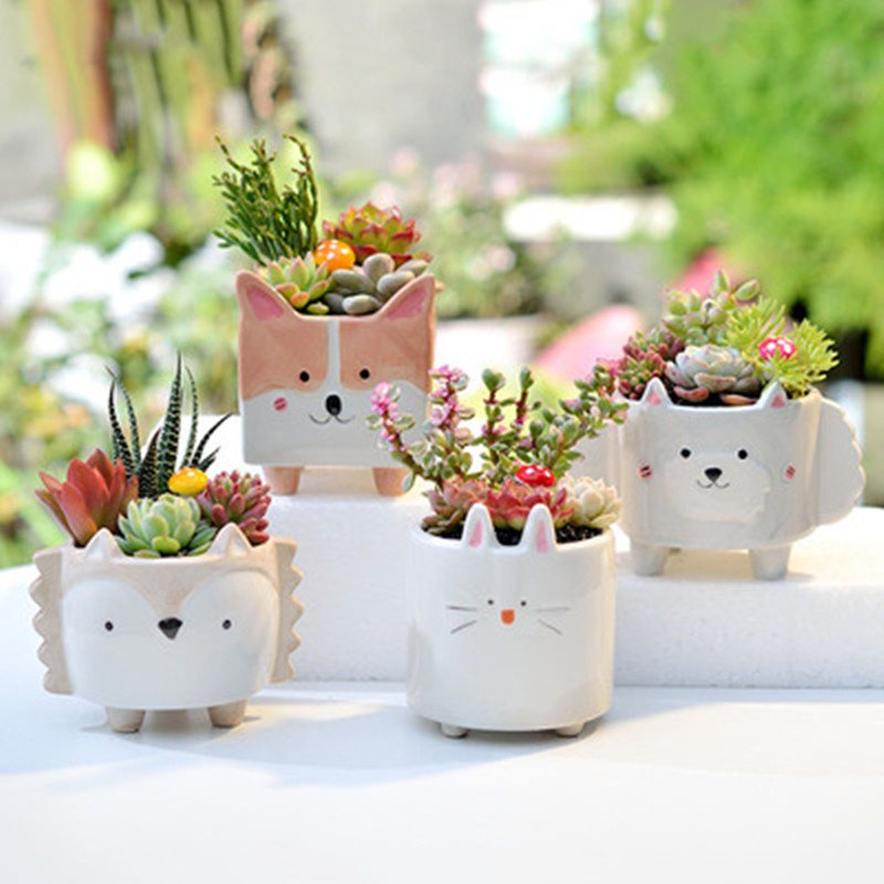 Ceramic Flower Pot for Indoor Plants