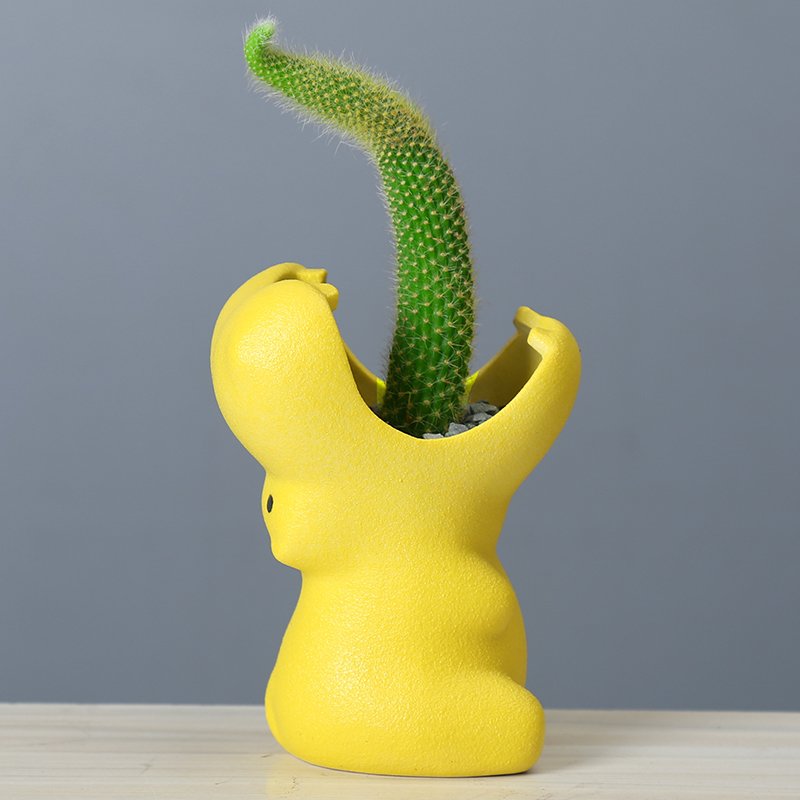 Creative Succulent Flower Pot for Gardening