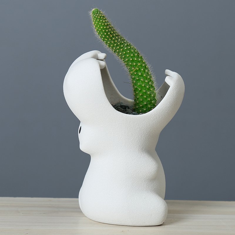 Creative Succulent Flower Pot for Gardening