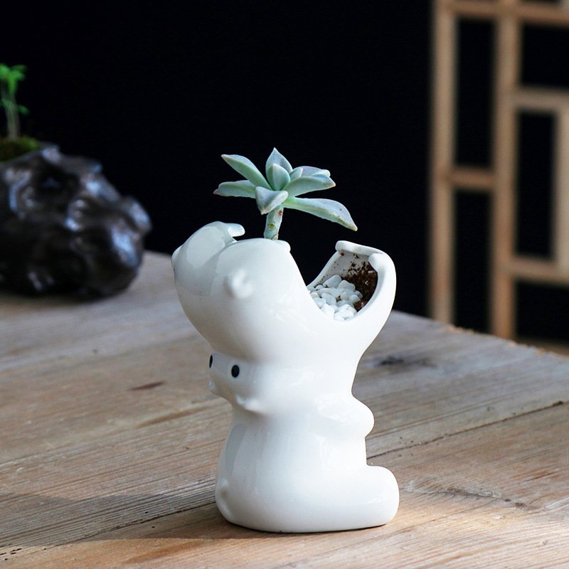 Creative Succulent Flower Pot for Gardening