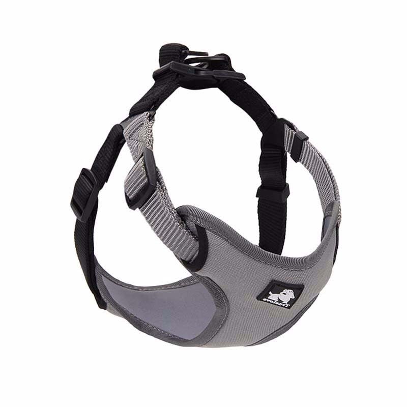 Dog Leash and Collar Set