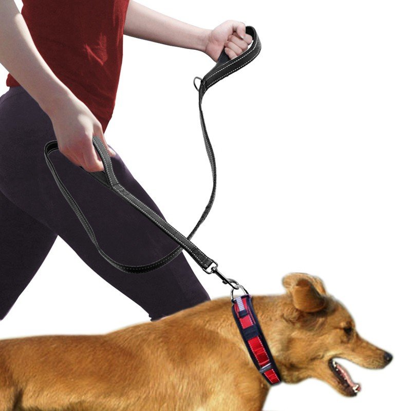 Double Handle Dog Leash