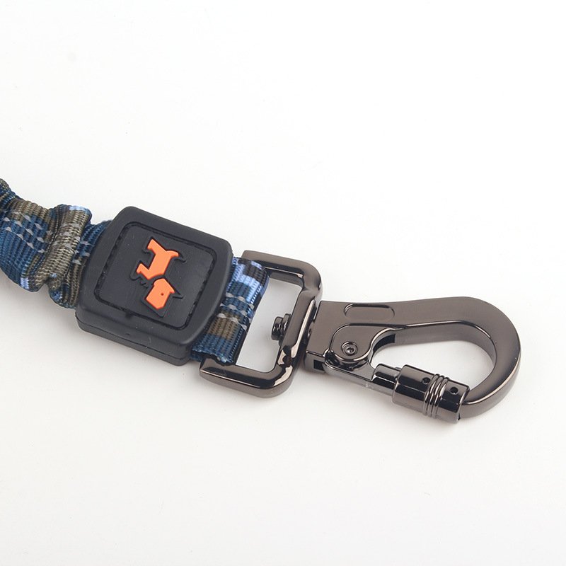 Elastic Bungee Leash for Large Dogs