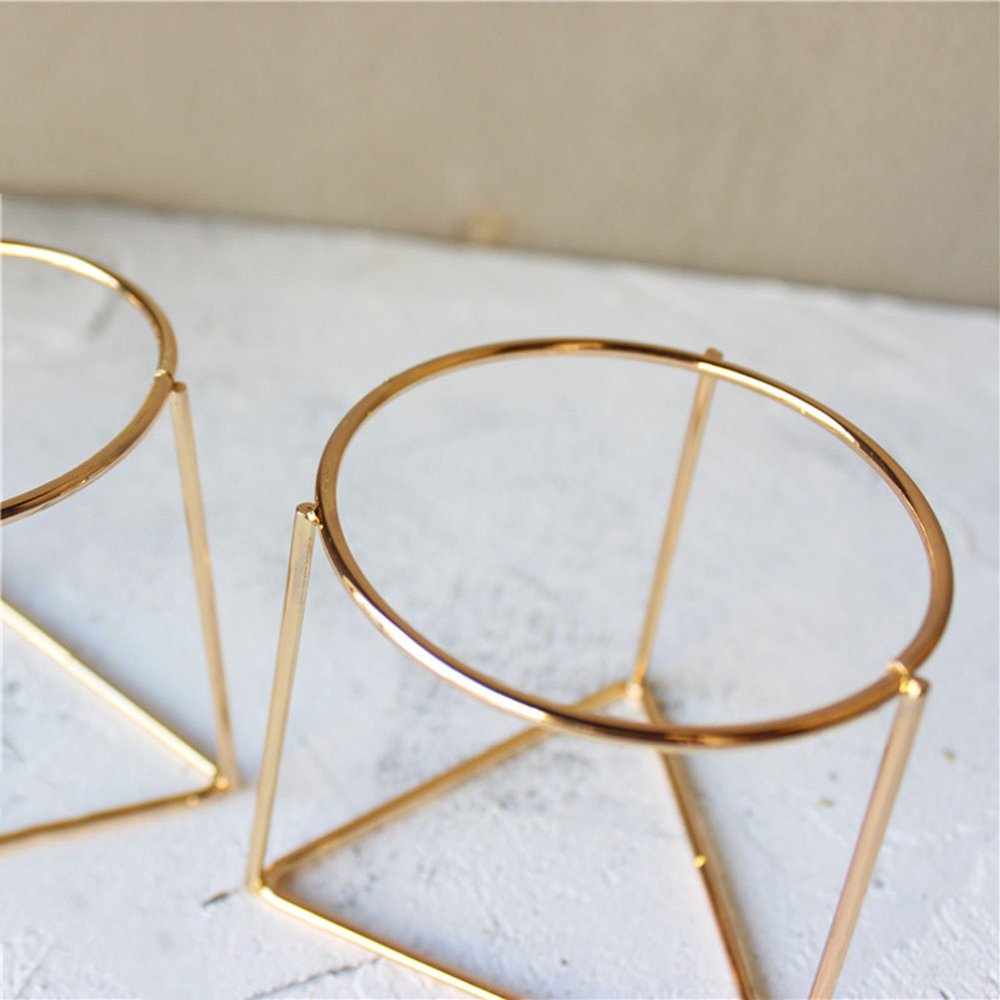 Iron Geometric Plant Stand with Ceramic Pot, Modern Indoor Display