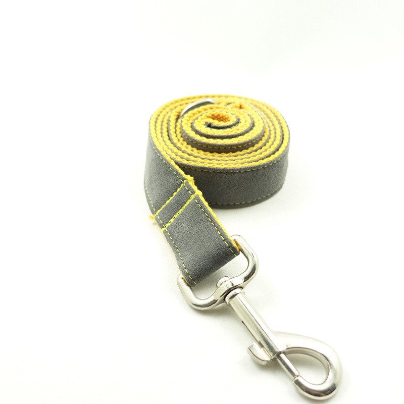 Grey Nylon Dog Leash