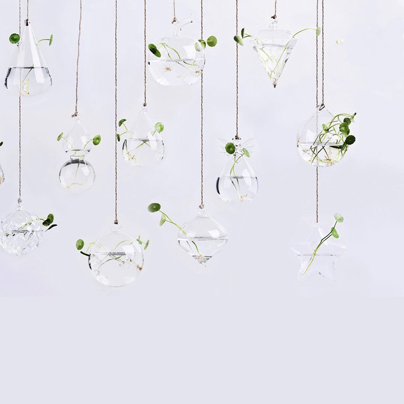 Wall-Hang Glass Propagation Station with Bulb Vases