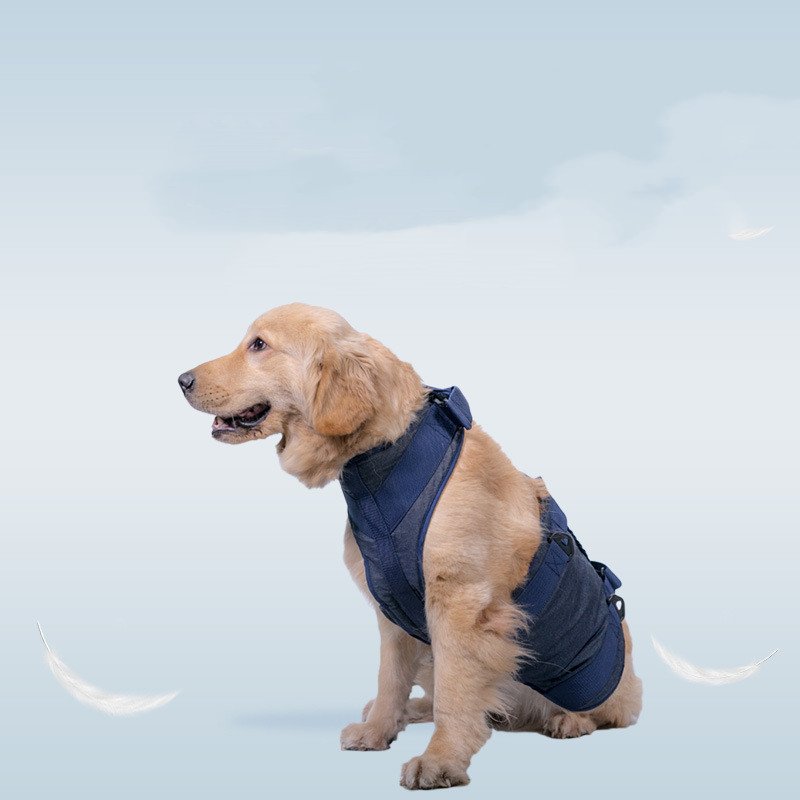 Heavy Duty Dog Leash