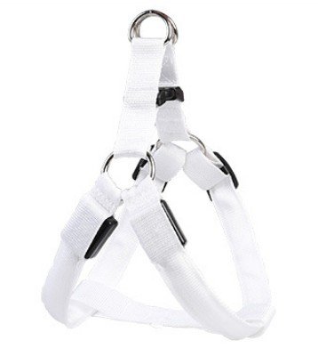 LED Luminous Dog Harness and Leash