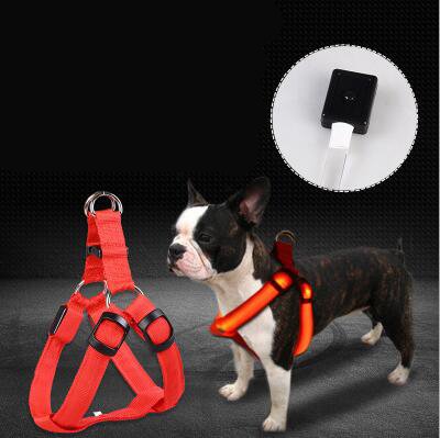 LED Luminous Dog Harness and Leash