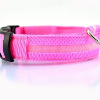 LED Safety Dog Collar