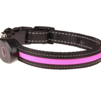 Luminous Dog Collar