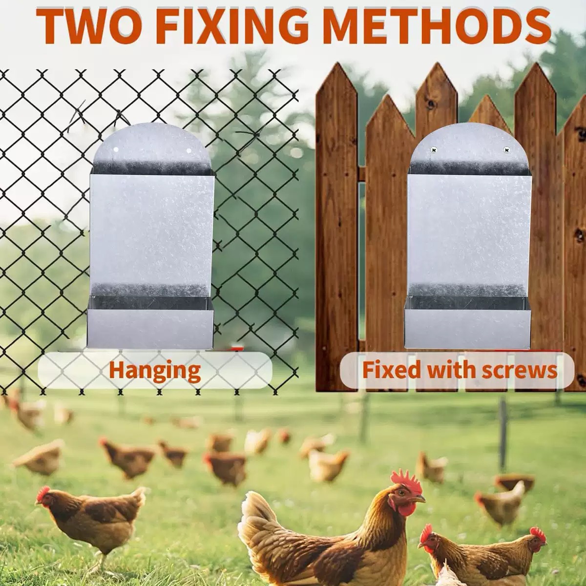Metal Poultry Feeding Trough