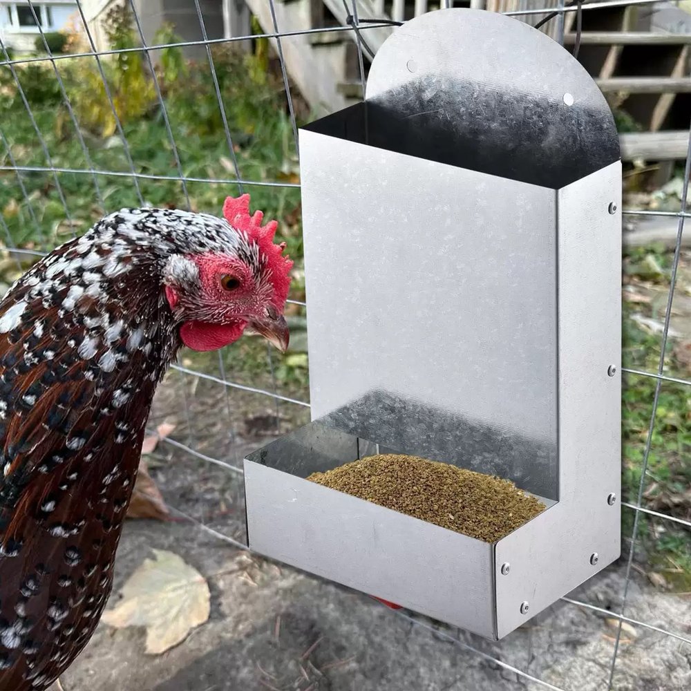 Metal Poultry Feeding Trough
