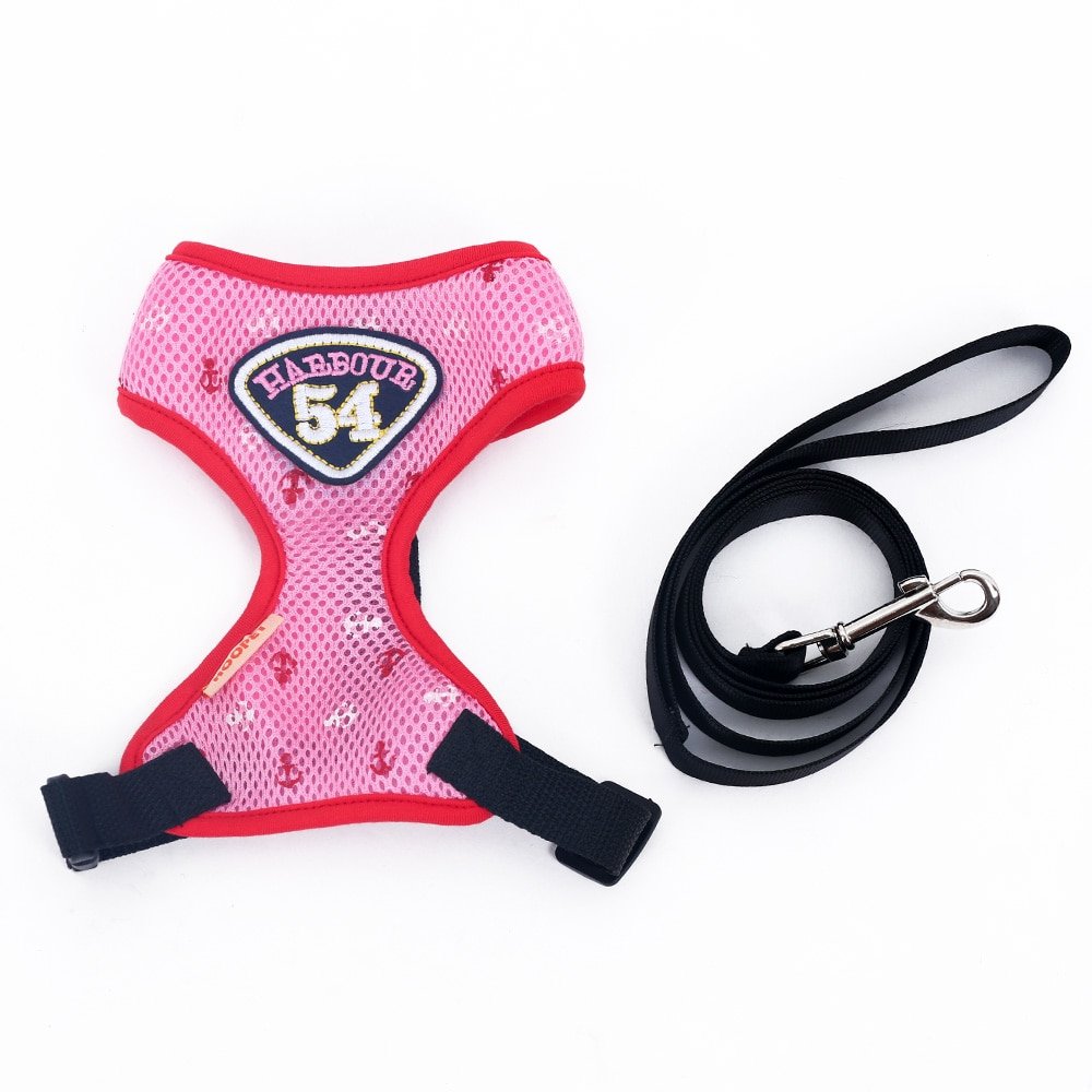 Nylon Slip Collar Leash