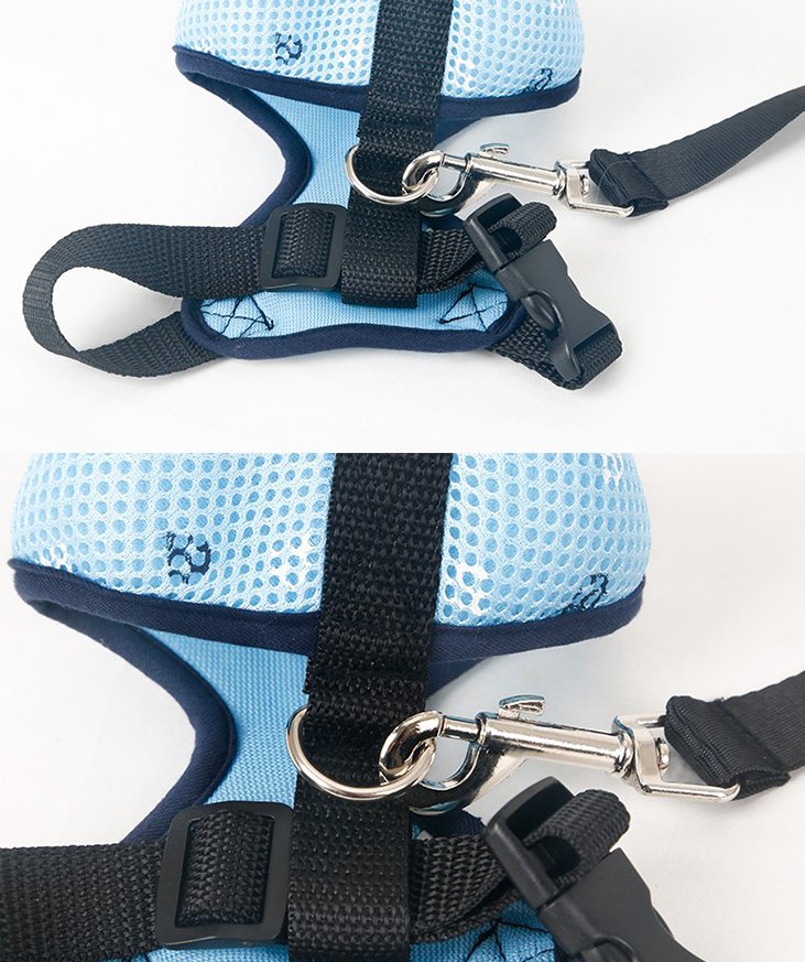 Nylon Slip Collar Leash