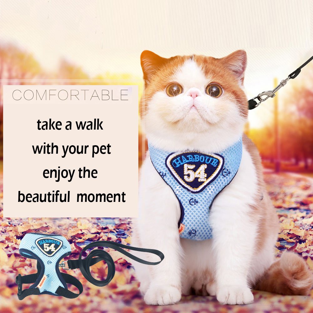 Nylon Slip Collar Leash