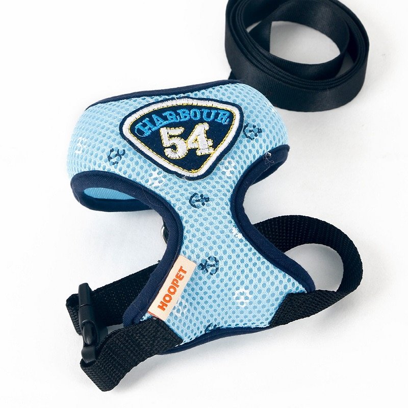 Nylon Slip Collar Leash