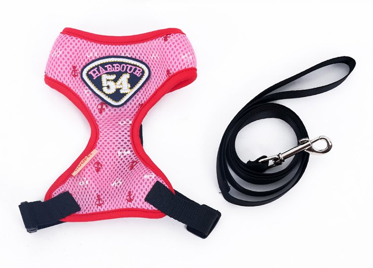 Nylon Slip Collar Leash