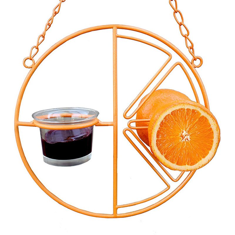 Oriole Feeder for Fruit and Jelly, Metal Hanging