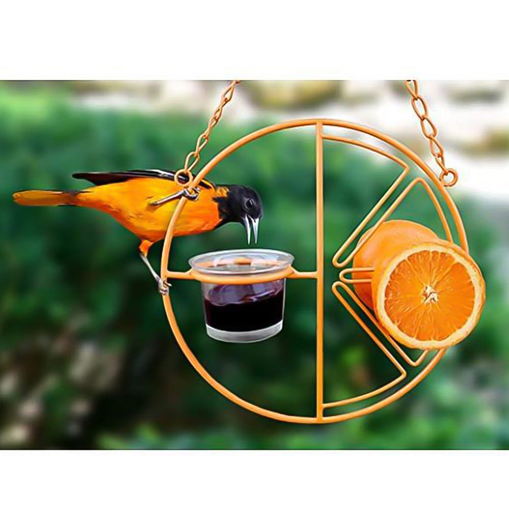 Outdoor Bird Feeding and Water Station