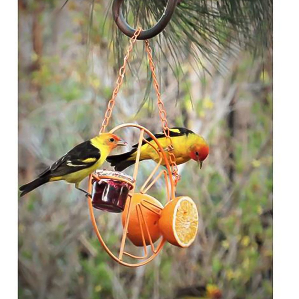 Outdoor Bird Feeding and Water Station