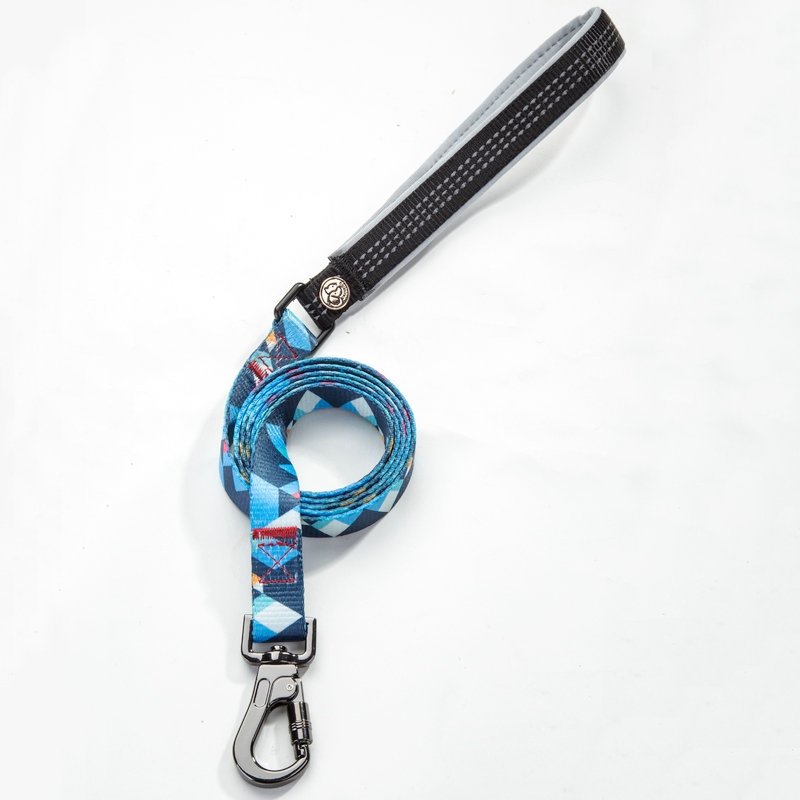 Pet Leash and Collar