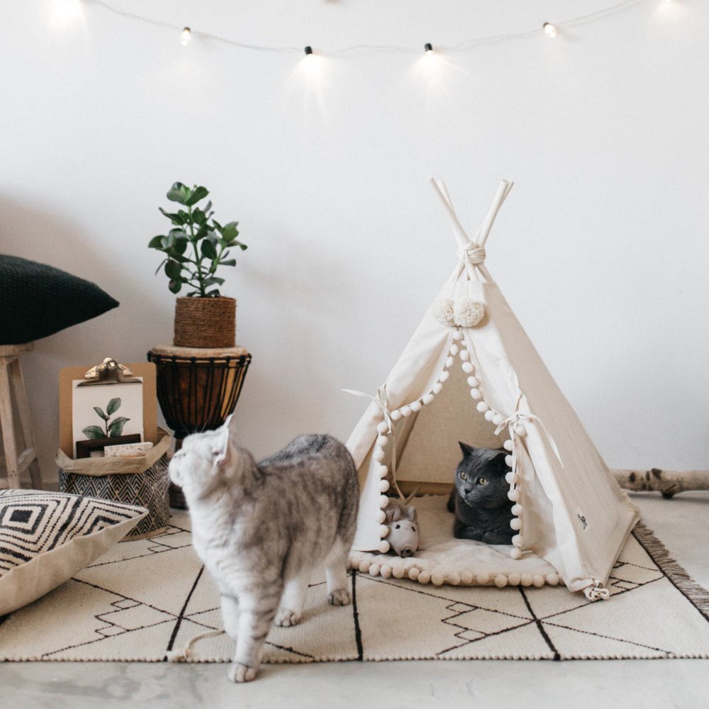 Canvas Teepee Dog and Cat House with Pine Wood Frame