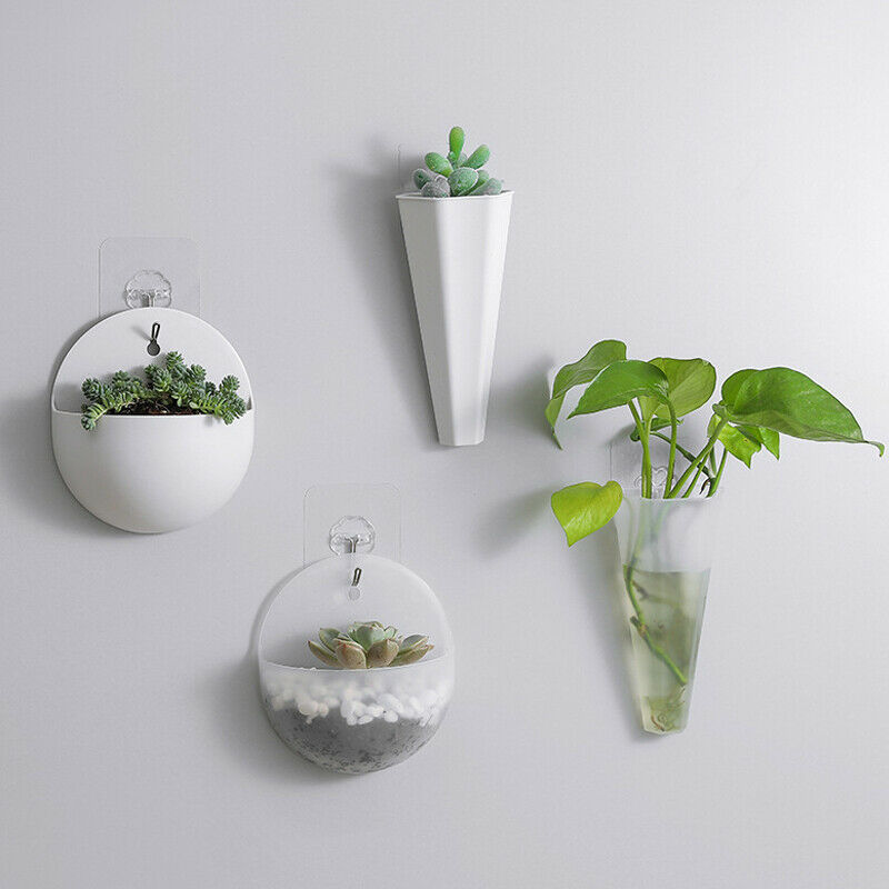 Plastic Wall Hanging Flower Pot for Trailing Plants