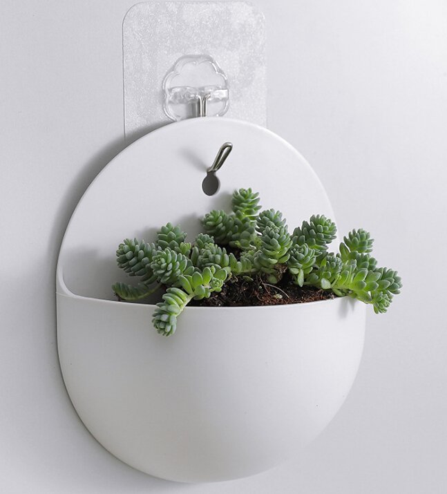 Plastic Wall Hanging Flower Pot for Trailing Plants