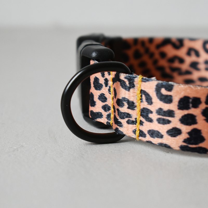Printed Ribbon Dog Collar