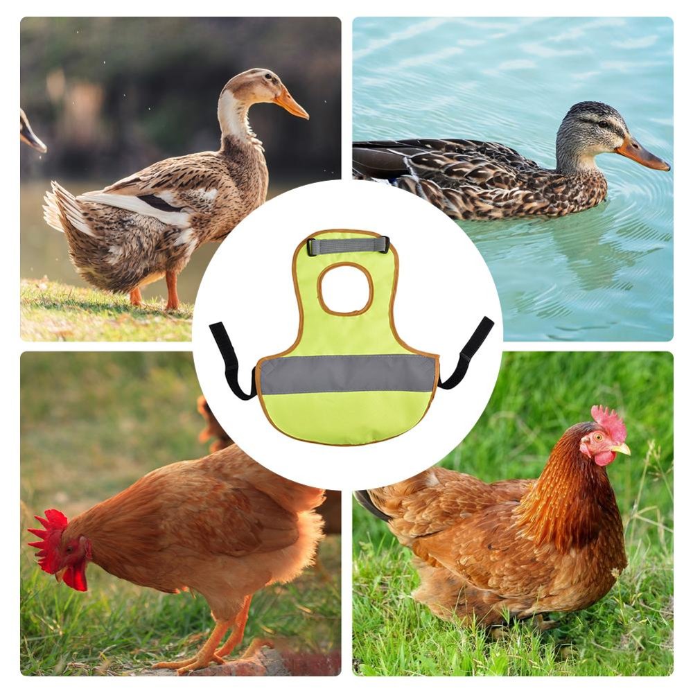 Reflective Safety Vest for Chickens