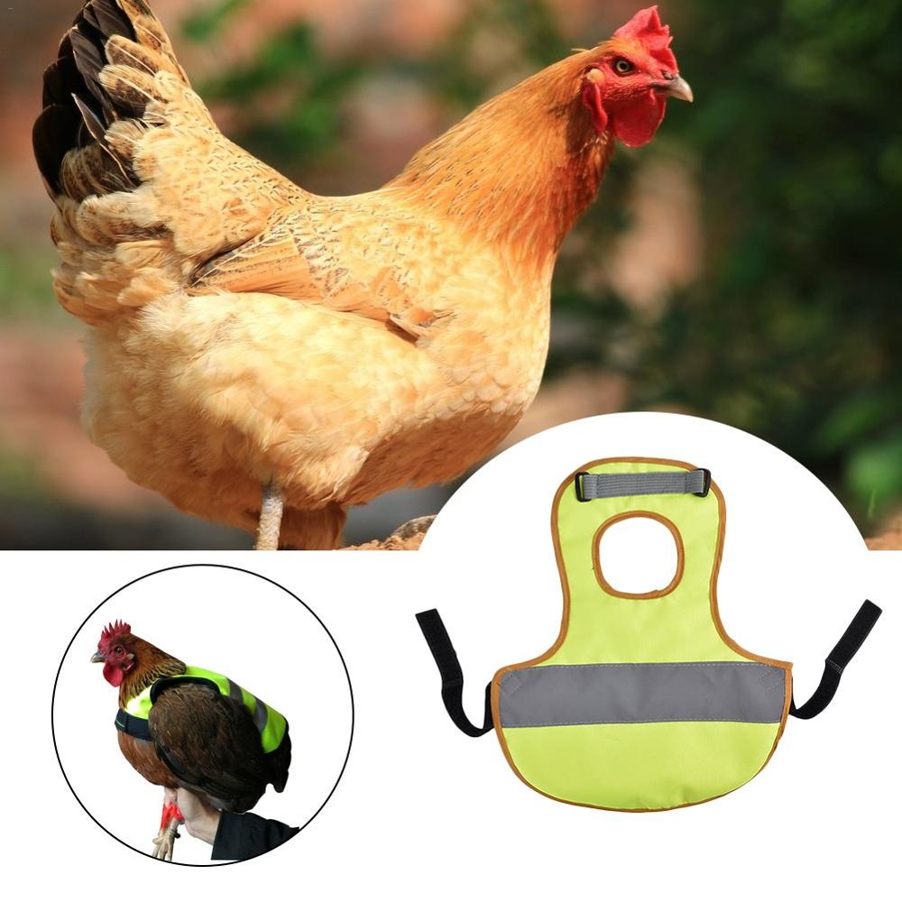 Reflective Safety Vest for Chickens