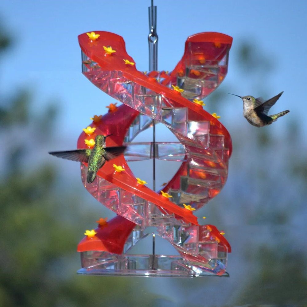 Spiral Hummingbird Feeder with Perch