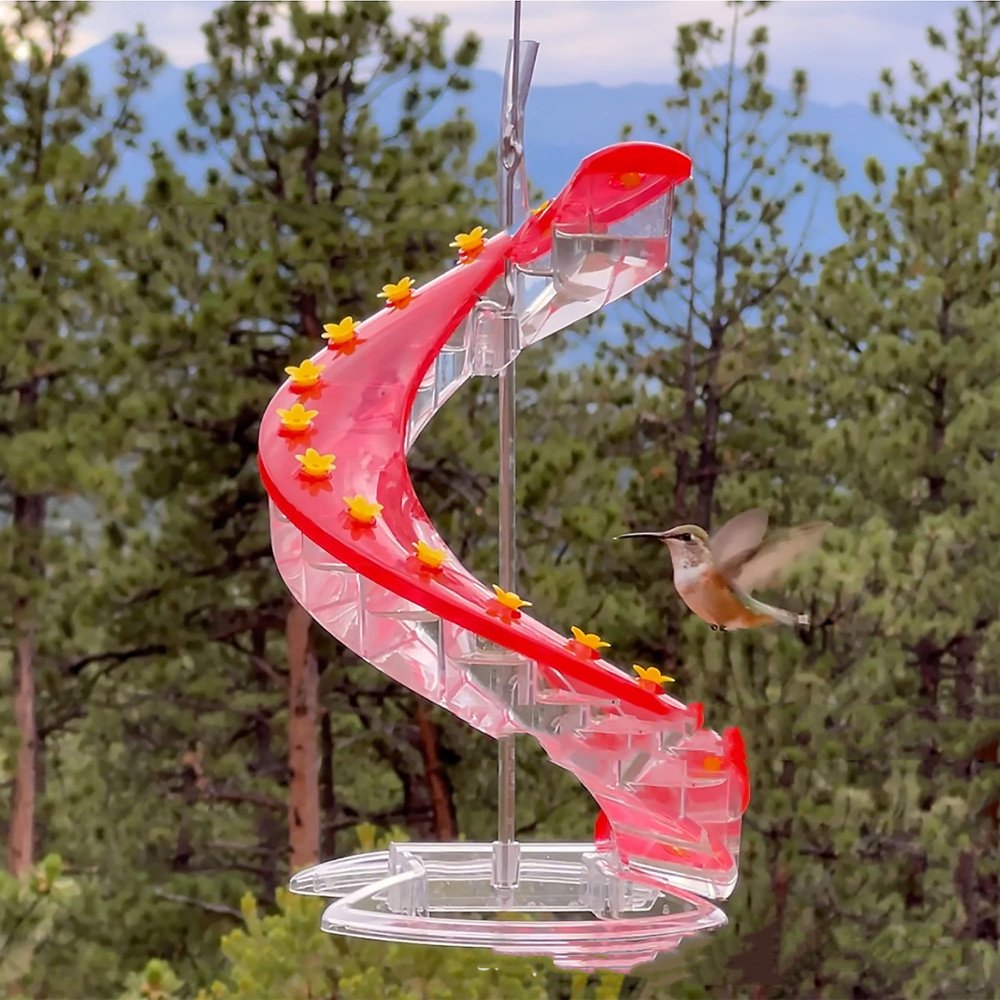 Spiral Hummingbird Feeder with Perch