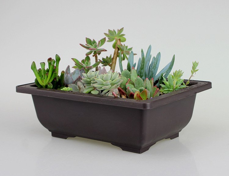 Vintage Style Plastic Flower Pot for Indoor Plants