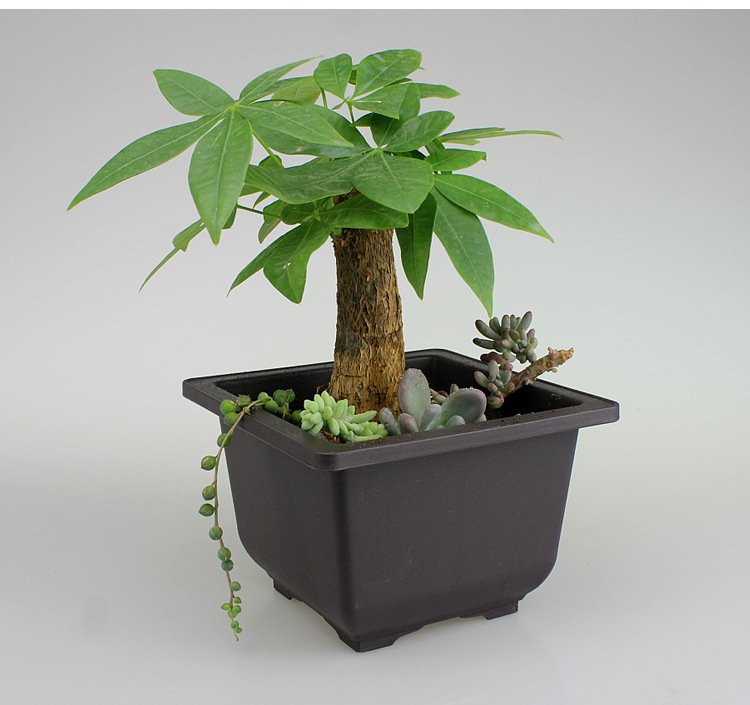 Vintage Style Plastic Flower Pot for Indoor Plants