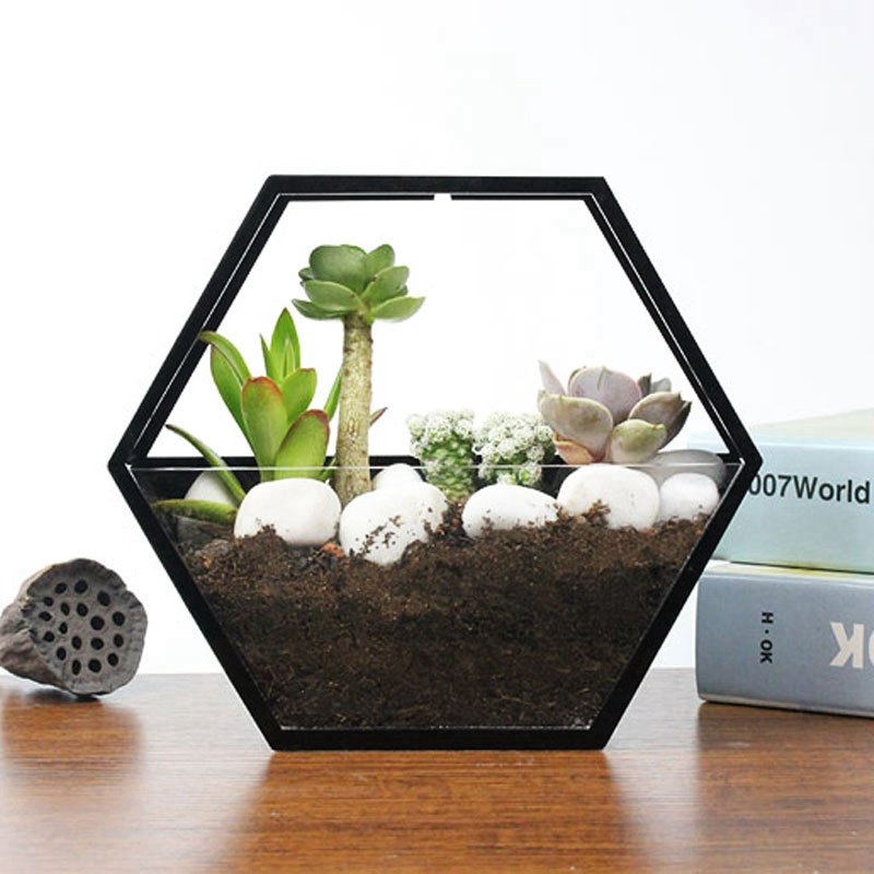 Acrylic Wall Pocket Planter for Herbs and Trailing Plants
