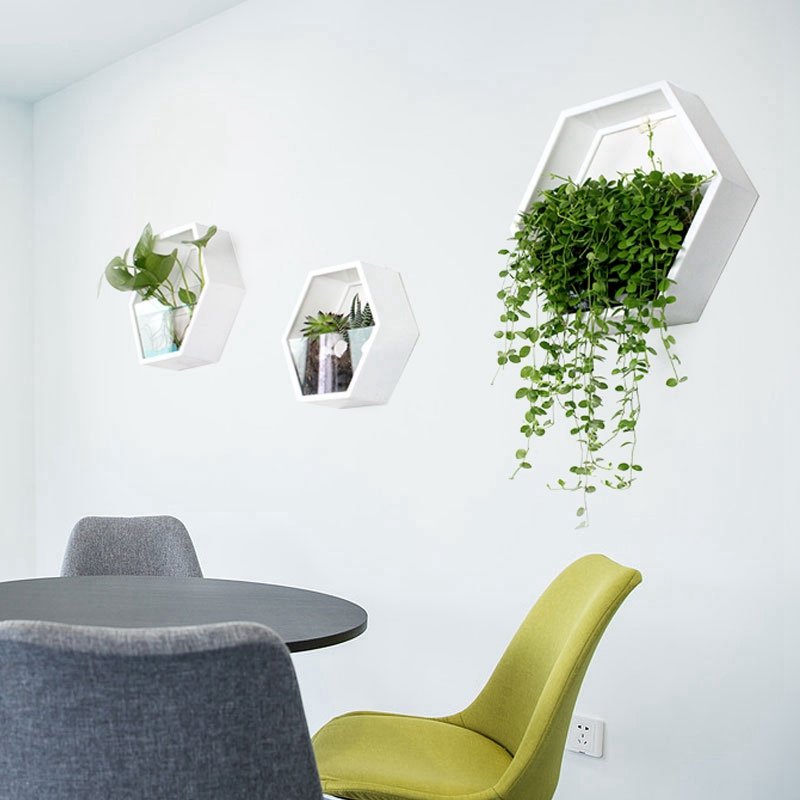 Acrylic Wall Pocket Planter for Herbs and Trailing Plants