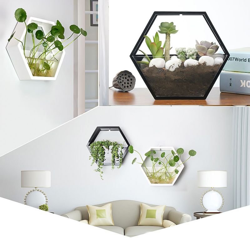 Acrylic Wall Pocket Planter for Herbs and Trailing Plants