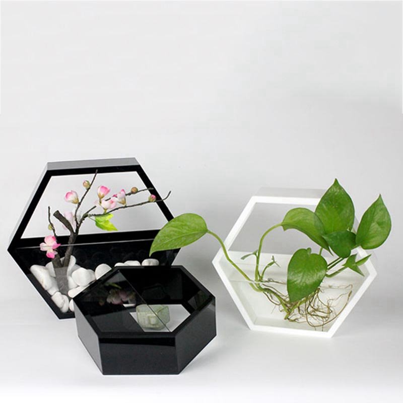 Acrylic Wall Pocket Planter for Herbs and Trailing Plants