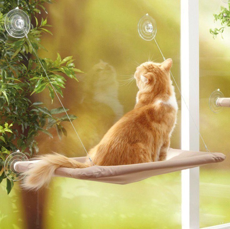 Window Mounted Cat Hammock, Sunny Seat Cat Perch
